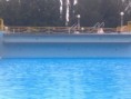 /album/koupaliste-cihelna-pardubice/a05082009018-jpg/